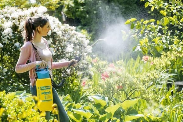 Gloria Drukspuit prima komfort 5 liter