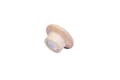 Pikkukuva 1 / 6: Legamaster WOODEN magneetti 25mm 5kpl. - Kiina - 25mm - 25mm - 15,5mm - 25g - 140mm (7-181725)