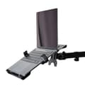 Miniatyrbillede 6 af 10: StarTech.com VESA Laptop Holder, Justerbar Notebook-bakke til skærmarm (4,5 kg), 75x75 & 100x100 VESA-monteringshuller, ventileret, Desktop Laptop-stø