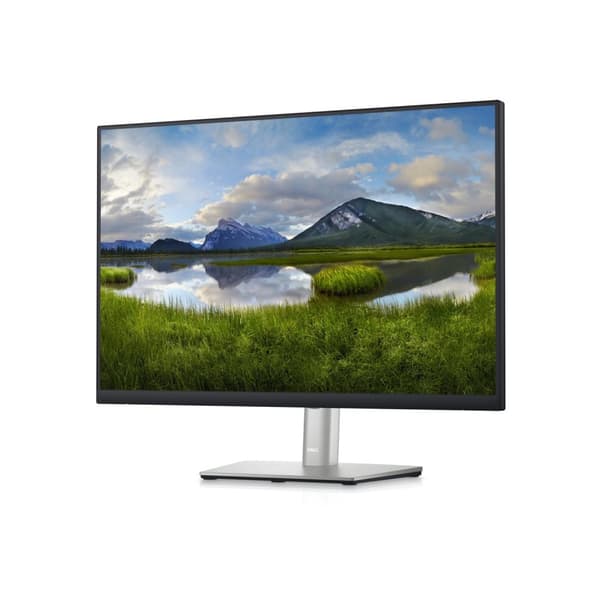 Dell P2423 - Professionel LED-skærm - 24 tommer