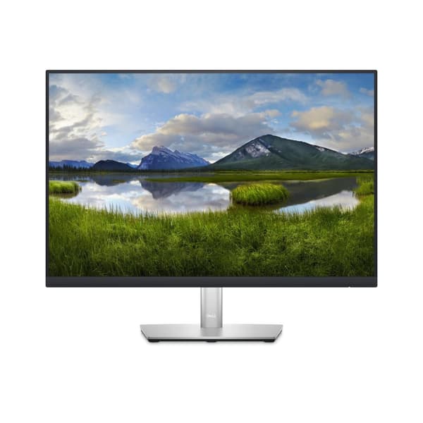 Dell P2423 - Professionell LED-skärm - 24 tum Svart
