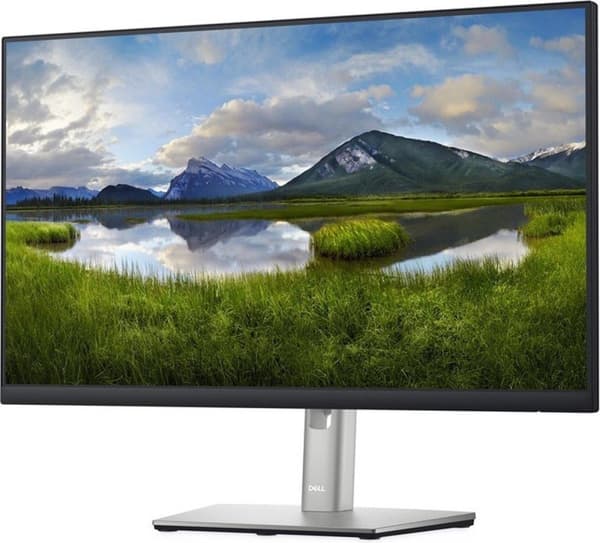 Dell P2422H - Full HD IPS-skärm - 24 tum