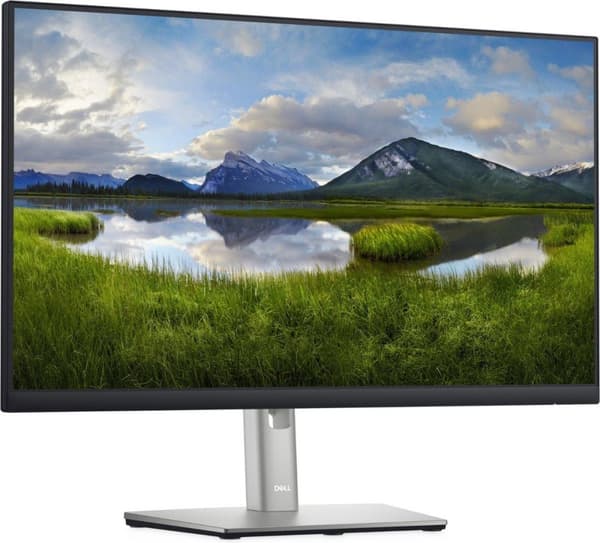 Dell P2422H - Full HD IPS-skärm - 24 tum