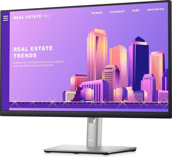 Dell P2422H - Full HD IPS-skärm - 24 tum