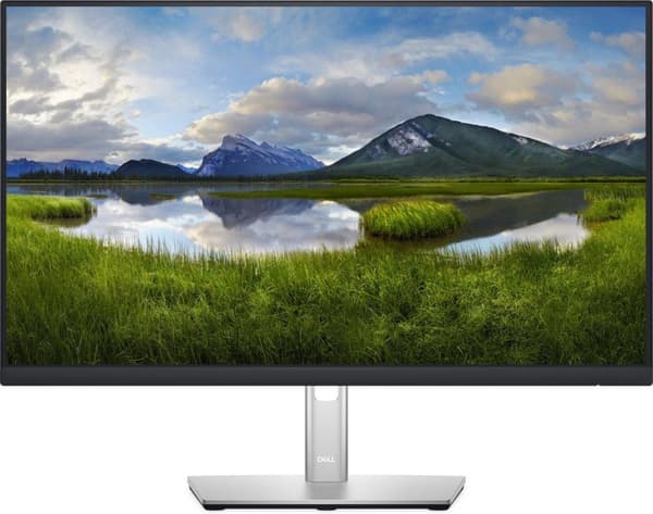Dell P2422H - Full HD IPS-skärm - 24 tum