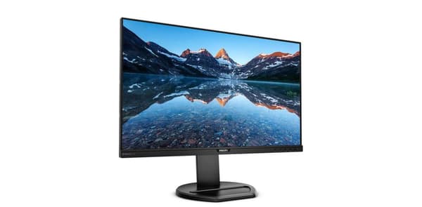 Philips B Line 252B9 - LED-skærm - 63,4 cm (25") - 1920 x 1200 WUXGA - IPS - 300 cd/m² - 1000:1 - 5 ms - HDMI, DVI-D, VGA, DisplayPort - højttalere -