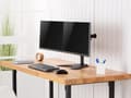 Miniatyrbillede 6 af 6: Equip Pro Economy - Stand til 2 LCD-skærme - Stål - Sort - Skærmstørrelse: 43,2-81,3 cm (17"-32") - Skrivebord (650123)