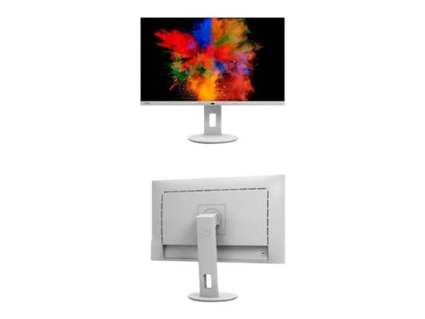 Fujitsu P2711 TE - LED-skärm - 27" - 2560 x 1440 QHD - IPS - 350 cd/m² - 1000:1 - 5 ms - HDMI, DisplayPort, USB-C - högtalare - marmorgrå
