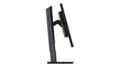 Pikkukuva 5 / 8: Lenovo ThinkVision P24q-30 60,5 cm (23,8") 2560 x 1440 pikseliä Quad HD LED musta