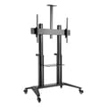 Miniatyrbillede 1 af 4: HAGOR HP Twin Stand HD - Vogn - til fladskærm / AV-udstyr - sort - skærmstørrelse: 140-213 cm (55"-84") - monteringsgrænseflade: op til 800 x 500 mm (
