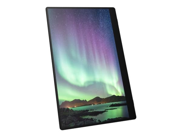 Ricoh 150BW - OLED-skjerm - 15.6" - portabel - berøringsskjerm - 1920 x 1080 Full HD (1080p) @ 60 Hz - 300 cd/m² - 100000:1 - 1 ms - 2xUSB-C - høytta
