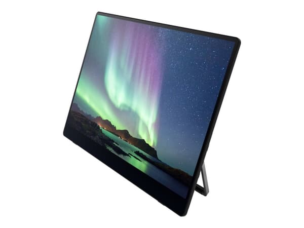 Ricoh 150BW - OLED-skjerm - 15.6" - portabel - berøringsskjerm - 1920 x 1080 Full HD (1080p) @ 60 Hz - 300 cd/m² - 100000:1 - 1 ms - 2xUSB-C - høytta