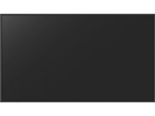 Monitor Avtek DS 65' (1TV314)