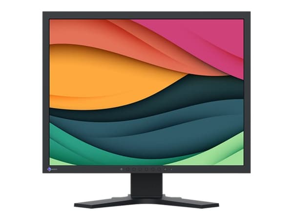 EIZO FlexScan S2134 - LED-skjerm - 21.3" - 1600 x 1200 @ 60 Hz - IPS - 500 cd/m² - 1600:1 - 6 ms - DVI-D, VGA, DisplayPort - svart Sort
