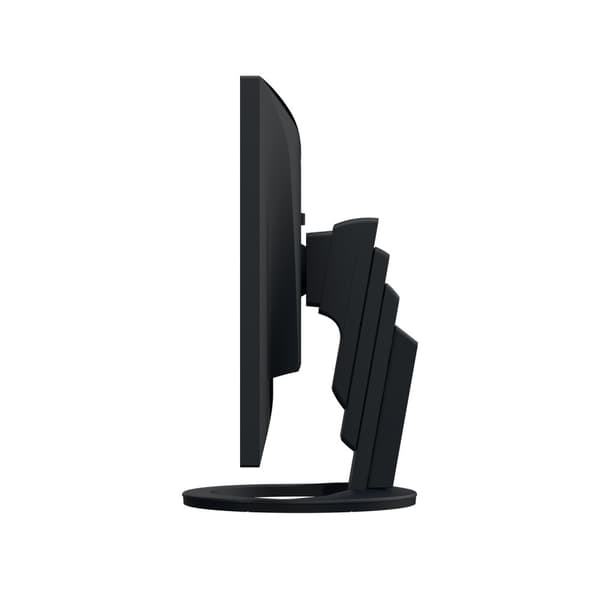 EIZO FlexScan EV2495-BK - Med FlexStand - LED-skärm - 61,1 cm (24,1") - 1920 x 1200 - IPS - 350 cd/m² - 1000:1 - 5 ms - HDMI, DisplayPort, USB-C - Hög