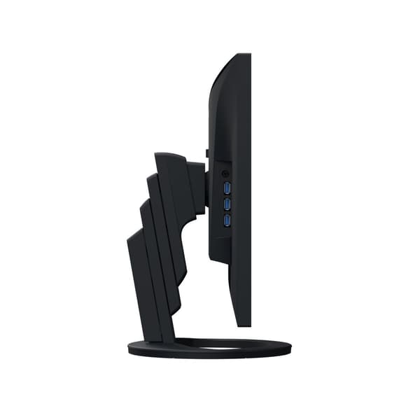EIZO FlexScan EV2495-BK - Med FlexStand - LED-skärm - 61,1 cm (24,1") - 1920 x 1200 - IPS - 350 cd/m² - 1000:1 - 5 ms - HDMI, DisplayPort, USB-C - Hög