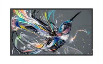 Monitor signage PHILIPS 3511Q 43" Sort