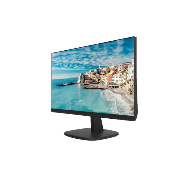 Monitor DS-D5024FN HIKVISION Svart