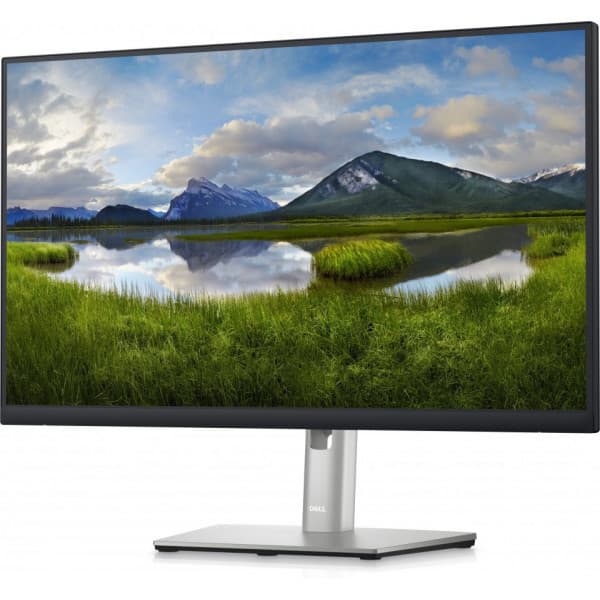 Dell 24 Professional P2423D 24" WQHDskærm