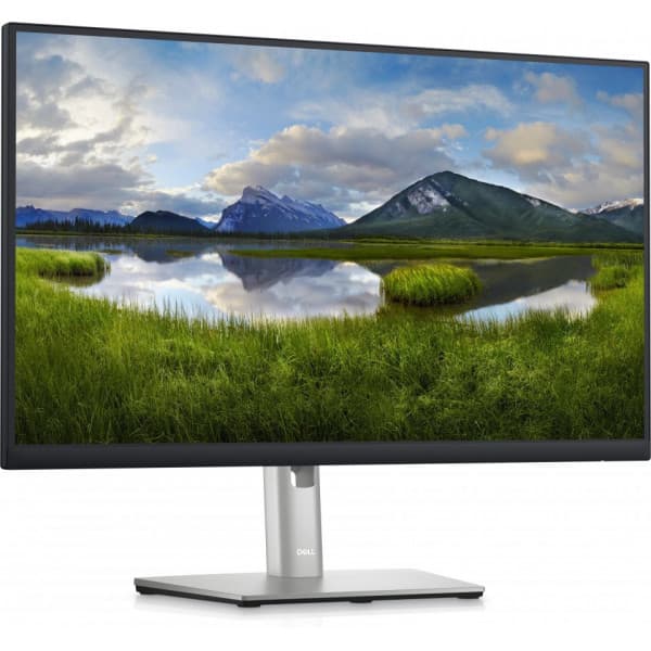 Dell 24 Professional P2423D 24" WQHDskærm