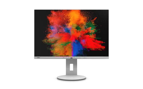 Fujitsu DISPLAY B2410 WE, EU, "S26361-K1697-V140" (timbru verde 7 lei) Grå