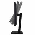 Miniatyrbild 10 av 10: Asus Övervaka Proart Display Pa32ucr 32´´ 4k Ips Led 60hz  One Size / EU Plug