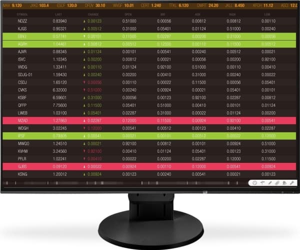 EIZO FlexScan EV2456-BK - LED-skärm - 24.1" - 1920 x 1200 - IPS - 350 cd/m² - 1000:1 - 5 ms - HDMI, DVI-D, VGA, DisplayPort - högtalare - svart