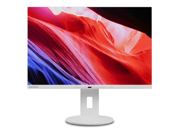 Lenovo C24d-20 - LED-skärm - 24" - 1920 x 1200 WUXGA @ 60 Hz - IPS - 300 cd/m² - 1000:1 - 5 ms - HDMI, DVI, DisplayPort, VGA - högtalare - gråvit