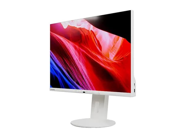Lenovo C24d-20 - LED-skärm - 24" - 1920 x 1200 WUXGA @ 60 Hz - IPS - 300 cd/m² - 1000:1 - 5 ms - HDMI, DVI, DisplayPort, VGA - högtalare - gråvit
