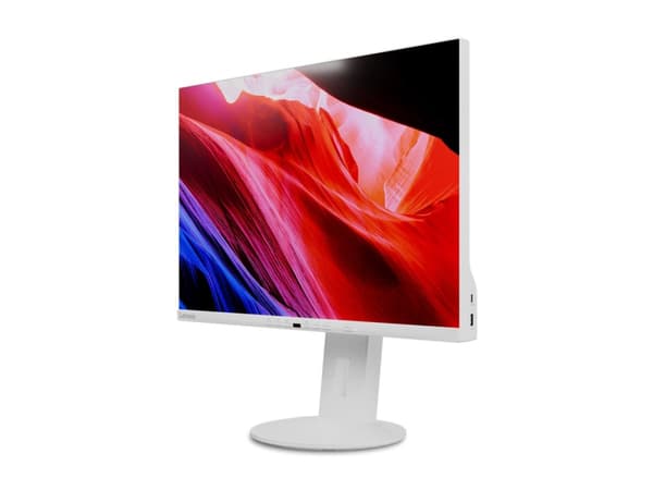 Lenovo C24d-20 - LED-skärm - 24" - 1920 x 1200 WUXGA @ 60 Hz - IPS - 300 cd/m² - 1000:1 - 5 ms - HDMI, DVI, DisplayPort, VGA - högtalare - gråvit Grå, Vit