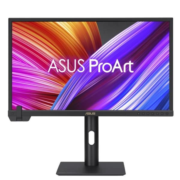 ASUS ProArt PA24US platt skärm Svart