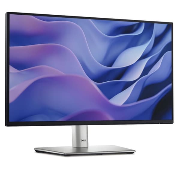 Dell P2425H