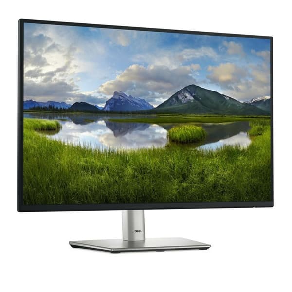 Skærm Dell P2425E WUXGA 24,1" 100 Hz