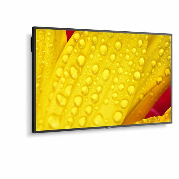 Skjerm NEC 60005048 43" 4K Ultra HD LED 43" IPS 50-60  Hz Sort