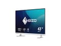 Miniatyrbilde 3 av 5: EIZO FlexScan EV4340X-WT - LED-skjerm - 42.5" - 3840 x 2160 4K @ 61 Hz - IPS - 350 cd/m² - 1000:1 - 5 ms - 2xHDMI, DisplayPort, USB-C - høyttalere -