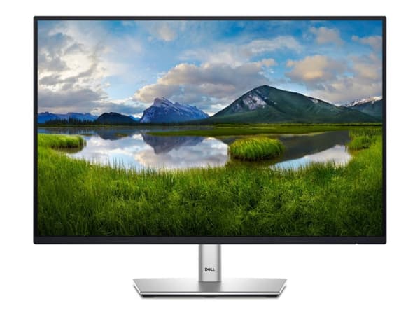 Skjerm 24.07 cala P2425 IPS 16:10 WUXGA/HDMI/USBC/DP/VGA/USB/5Y