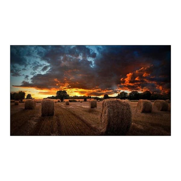 Videovegg Monitor Samsung VM55B-U Full HD 55"