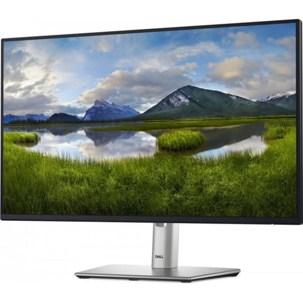Dell 24 Pro P2425HE 24" Full HD-skærm