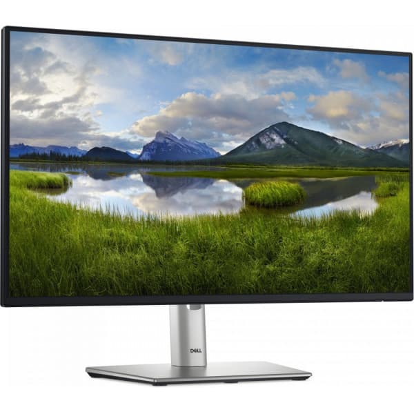 Dell 24 Pro P2425HE 24" Full HD-skærm
