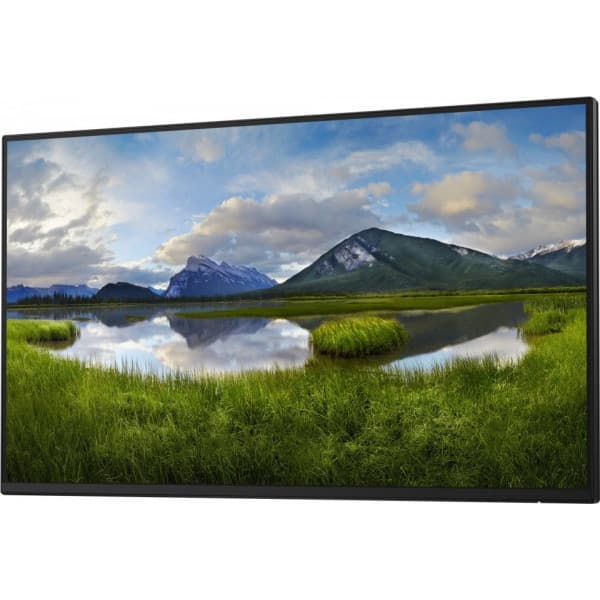 Dell 24 Pro P2425HWO 24" Full HD-skärm