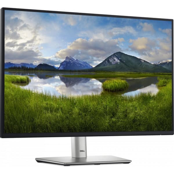 Dell 24 Pro P2425 24" WUXGA-skärm