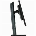 Miniatyrbild 8 av 10: Monitor Lenovo ThinkVision P24h-30 Quad HD 23,8" 60 Hz
