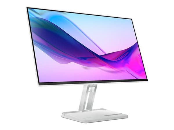 Lenovo L24i-4A - LED-skjerm - 24" (23.8" synlig) - 1920 x 1080 Full HD (1080p) - IPS - 250 cd/m² - 1500:1 - 1 ms - HDMI, VGA - høyttalere - skygrå
