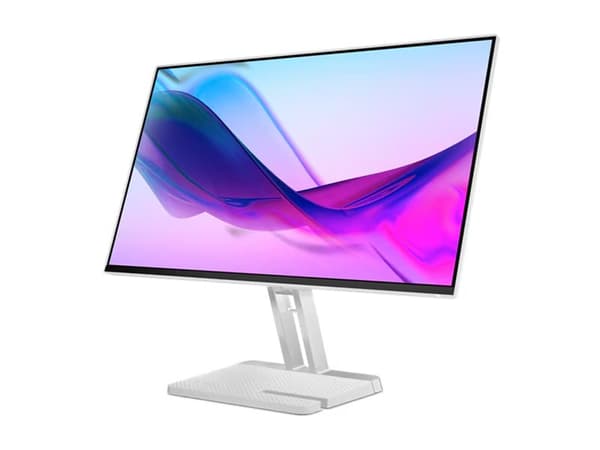 Lenovo L24i-4A - LED-skjerm - 24" (23.8" synlig) - 1920 x 1080 Full HD (1080p) - IPS - 250 cd/m² - 1500:1 - 1 ms - HDMI, VGA - høyttalere - skygrå