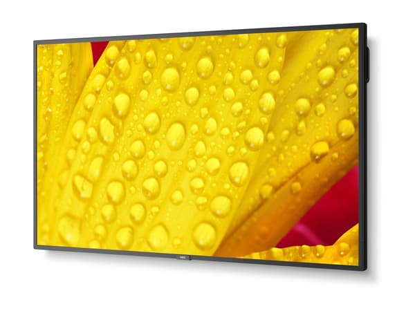 NEC MultiSync M431-2 - 43" Diagonalklasse (42.5" synlig) - M Series LED-bakgrunnsbelyst LCD-skjerm - intelligent skilting - med innebygd mediespiller