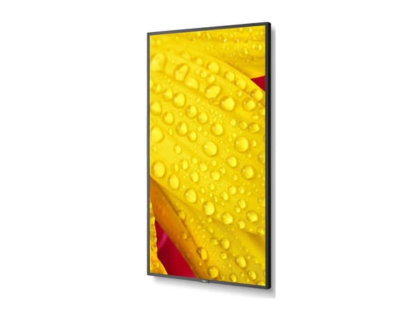 NEC MultiSync M431-2 - 43" Diagonalklasse (42.5" synlig) - M Series LED-bakgrunnsbelyst LCD-skjerm - intelligent skilting - med innebygd mediespiller