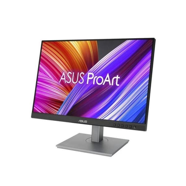ASUS PA248CNV Monitor