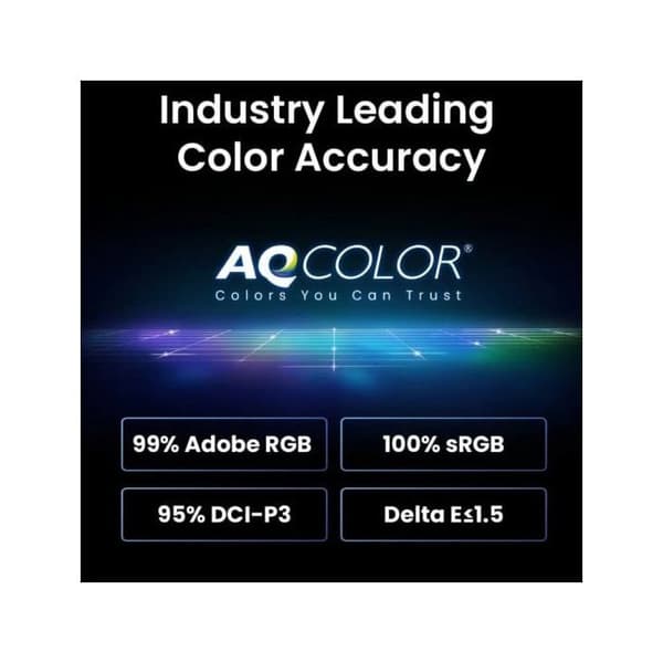 BENQ Skärm 24'' SW242Q Quad HD