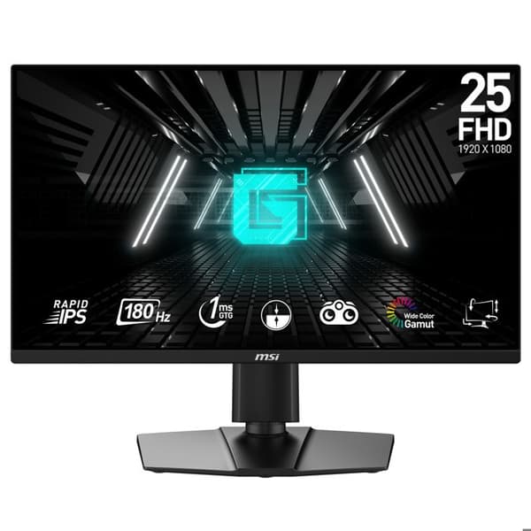 MSI 24,5" LED