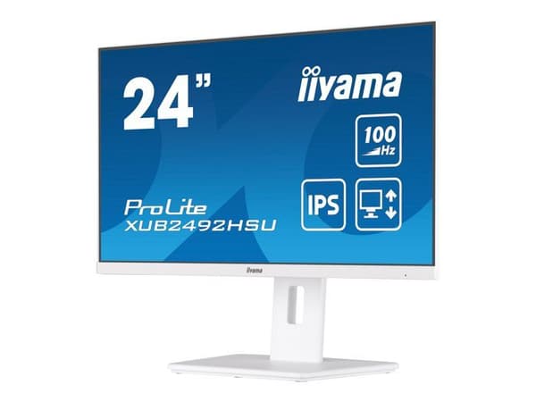 iiyama ProLite XUB2492HSU-W6